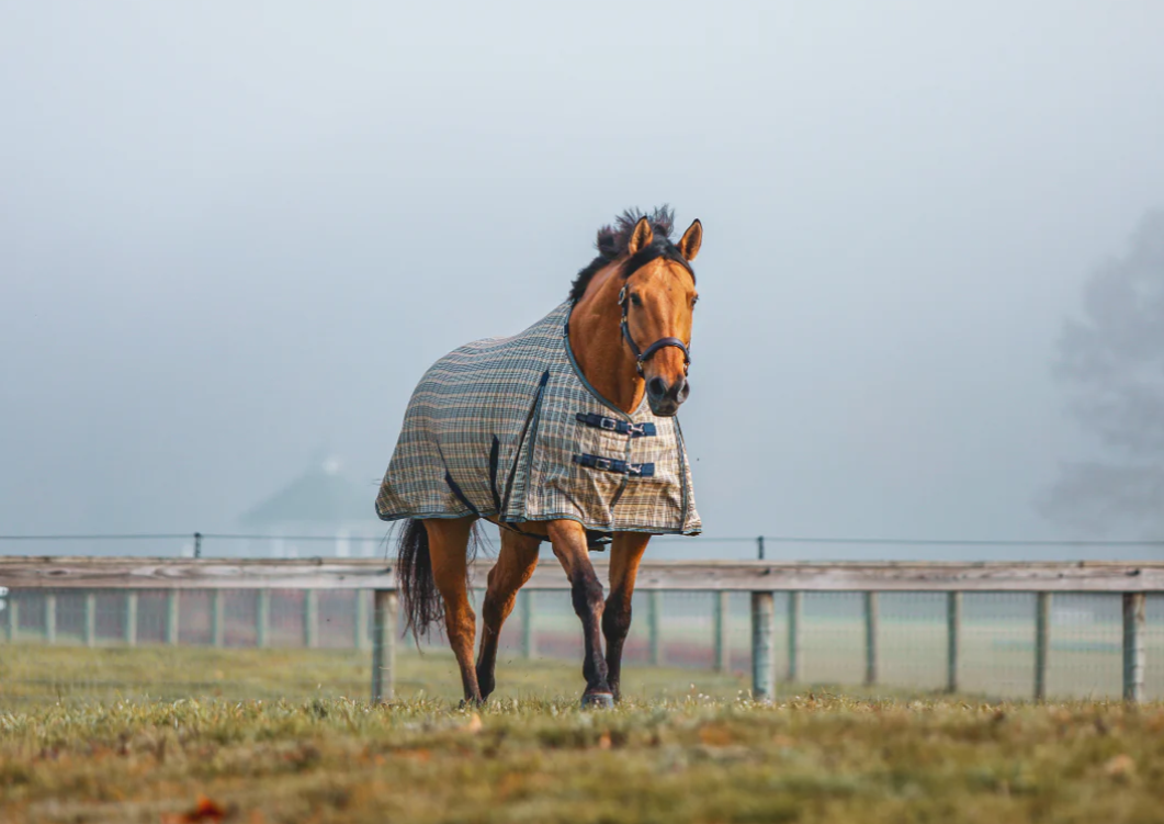 5/A Baker® Extreme Turnout Blanket-2100 Denier