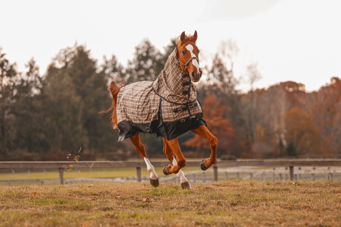 5/A Baker® Black Label Neck Cover (No insulation)