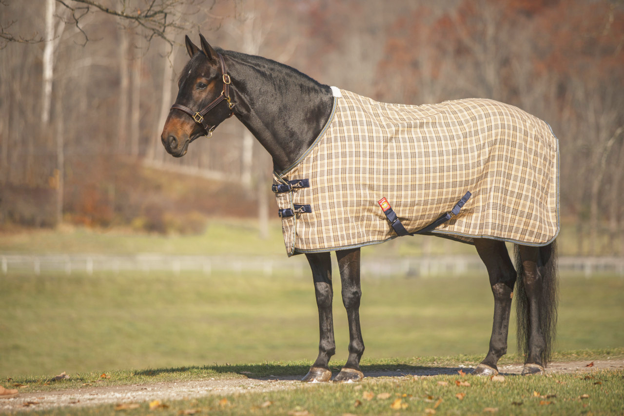 5/A Baker® Deluxe Sheet