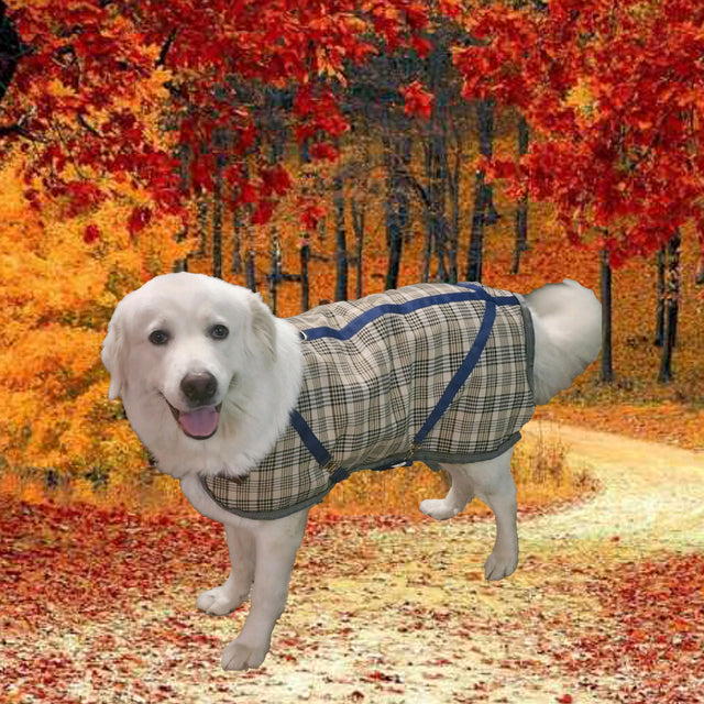 5/A Baker®Classic Dog Blanket