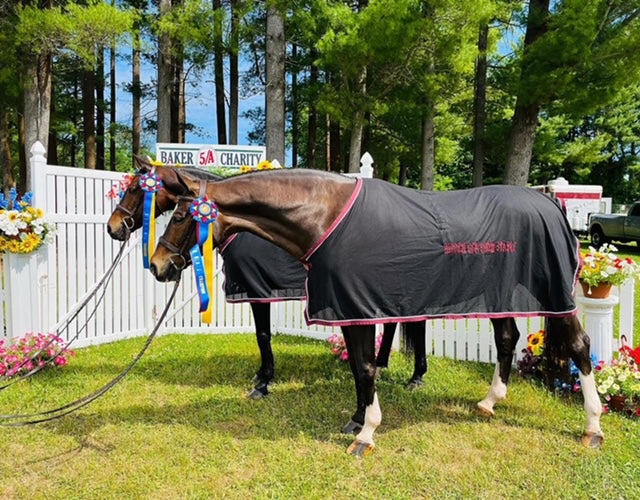 Jacks Scrim Fly Sheet
