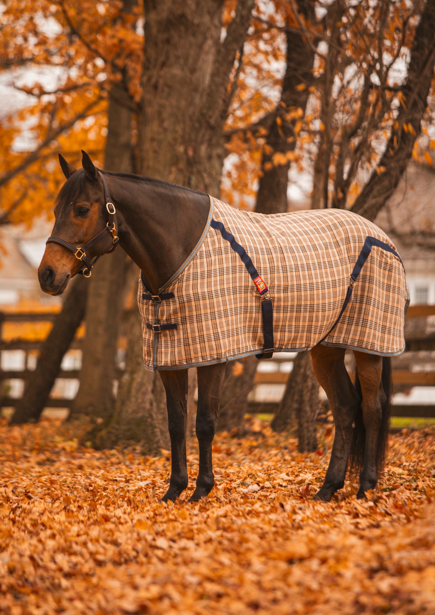 5/A Baker®Stable Sheet