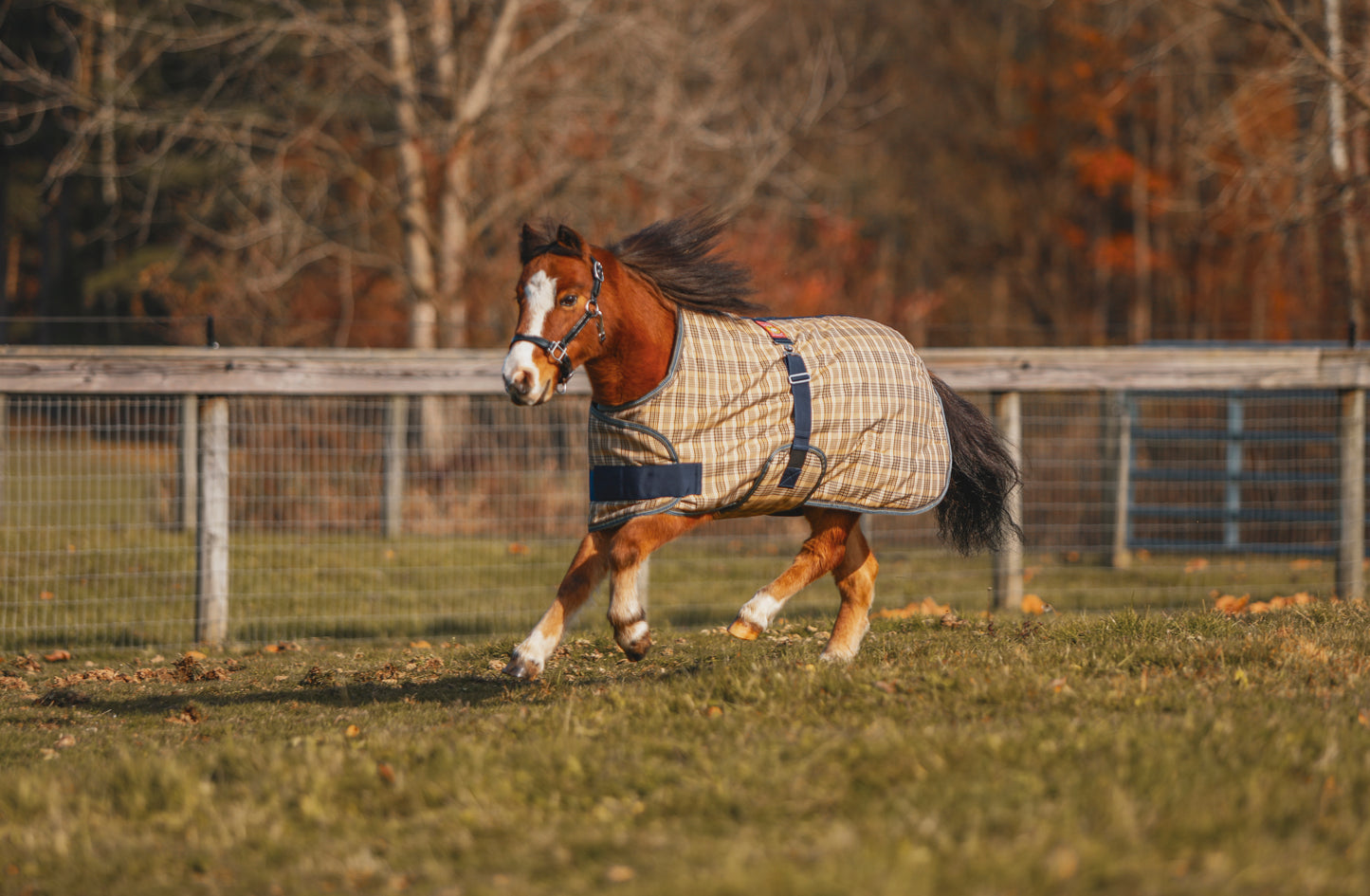 5/A Baker®Expand-O-Blanket