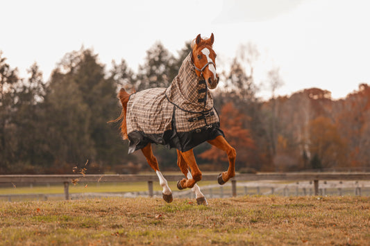 5/A Baker® Black Label Neck Cover  (No insulation)